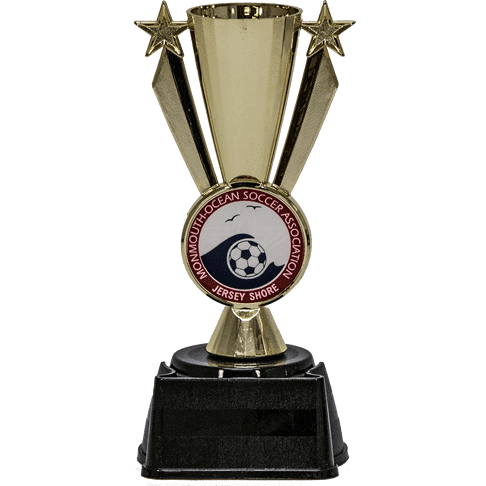 Star Insert Cup | Alliance Awards LLC.