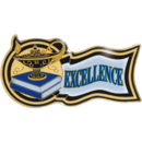 Scholastic Award Pins | Alliance Awards LLC.