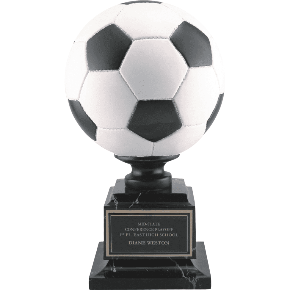 Full Color Soccer Ball | Alliance Awards LLC.