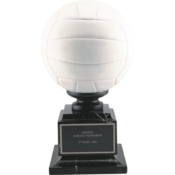 Full Color Volleyball | Alliance Awards LLC.