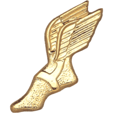 Chenille Pins | Alliance Awards LLC.